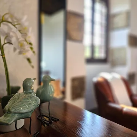 Ocean View - Nordeste *