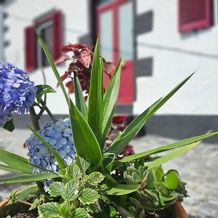 Ocean View - Nordeste *