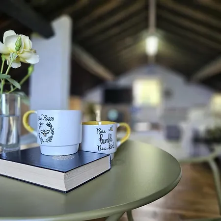 Apartment Ocean View - Nordeste