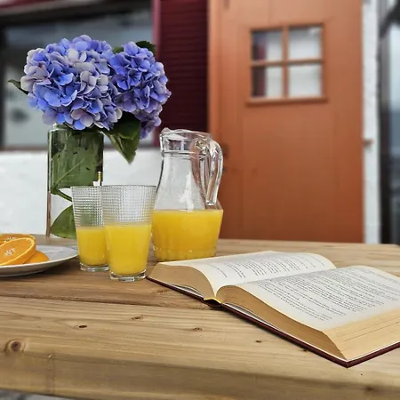 Ocean View - Nordeste *