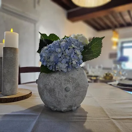 Ocean View - Nordeste *