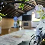 Apartment Ocean View - Nordeste *