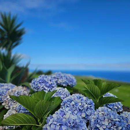 Ocean View - Nordeste شقة