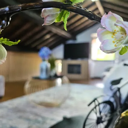 Апартаменты Ocean View - Nordeste *
