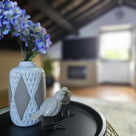 Ocean View - Nordeste شقة *