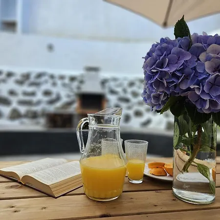 Ocean View - Nordeste شقة *