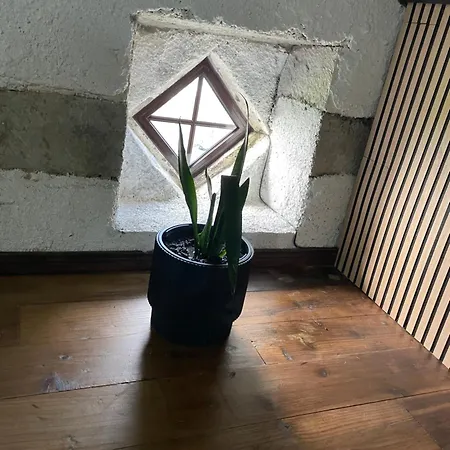 شقة Ocean View - Nordeste Feteira Grande