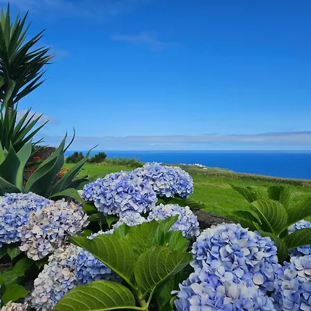 Apartmán Ocean View - Nordeste Feteira Grande