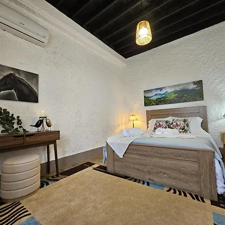 Апартаменты Ocean View - Nordeste Feteira Grande