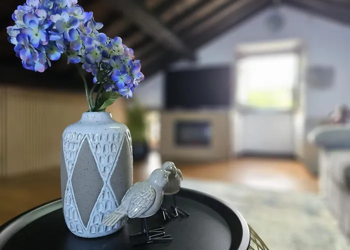 Ocean View - Nordeste Апартаменты *