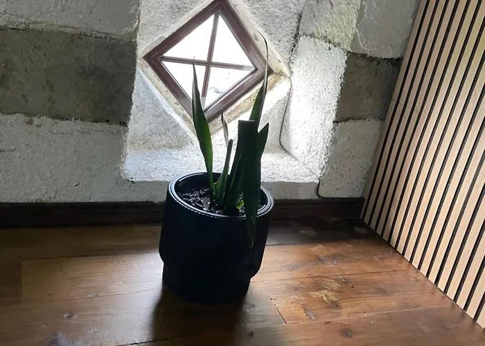 Апартаменты Ocean View - Nordeste Feteira Grande